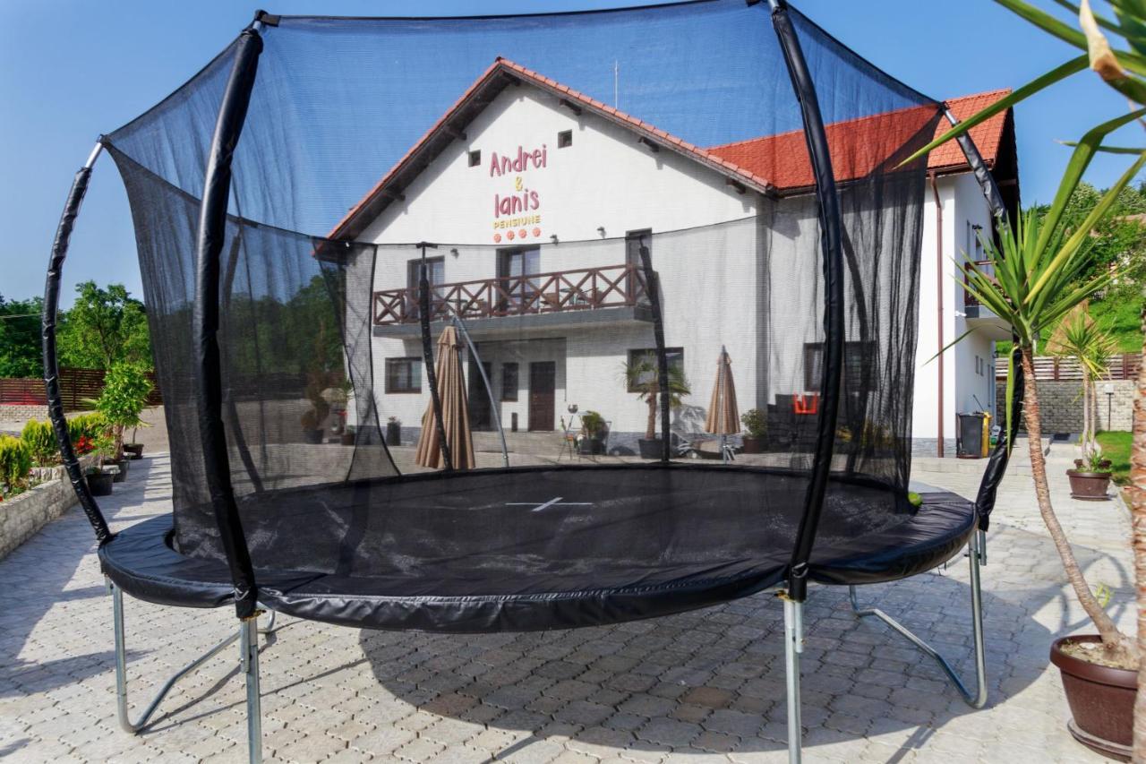 Agropensiunea Andrei & Ianis Daesti Exterior foto