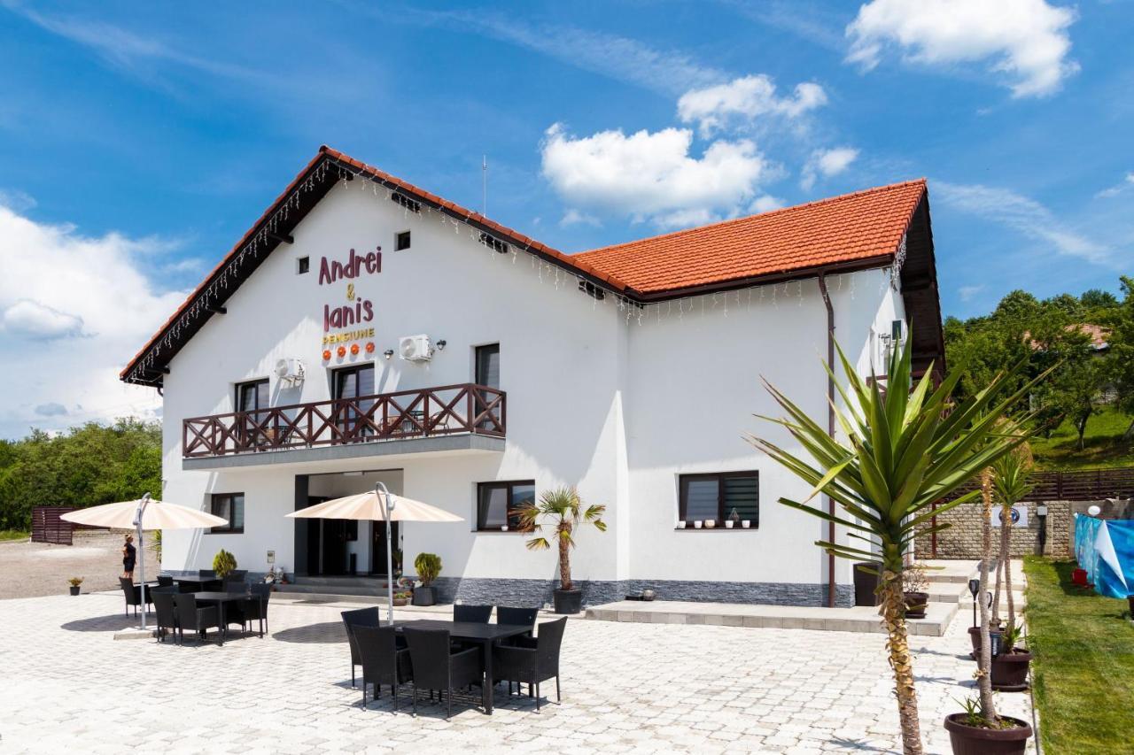 Agropensiunea Andrei & Ianis Daesti Exterior foto